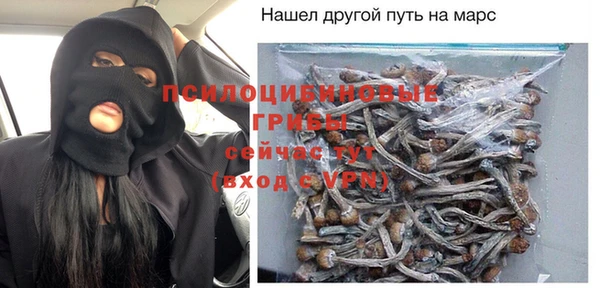 хмурый Алексеевка