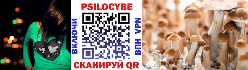 Галлюциногенные грибы Psilocybine cubensis  OMG ссылки  Кувшиново  цена наркотик 